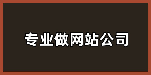 专业做网站公司