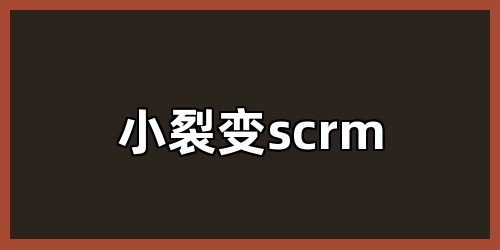 小裂变scrm