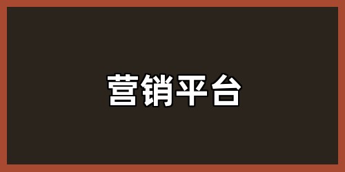 营销平台